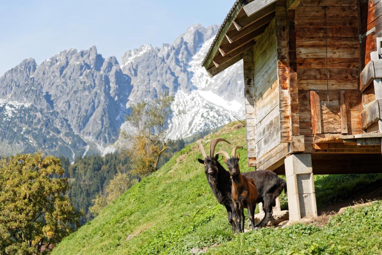 Gut Stein Panoramalodge Мюльбах Экстерьер фото