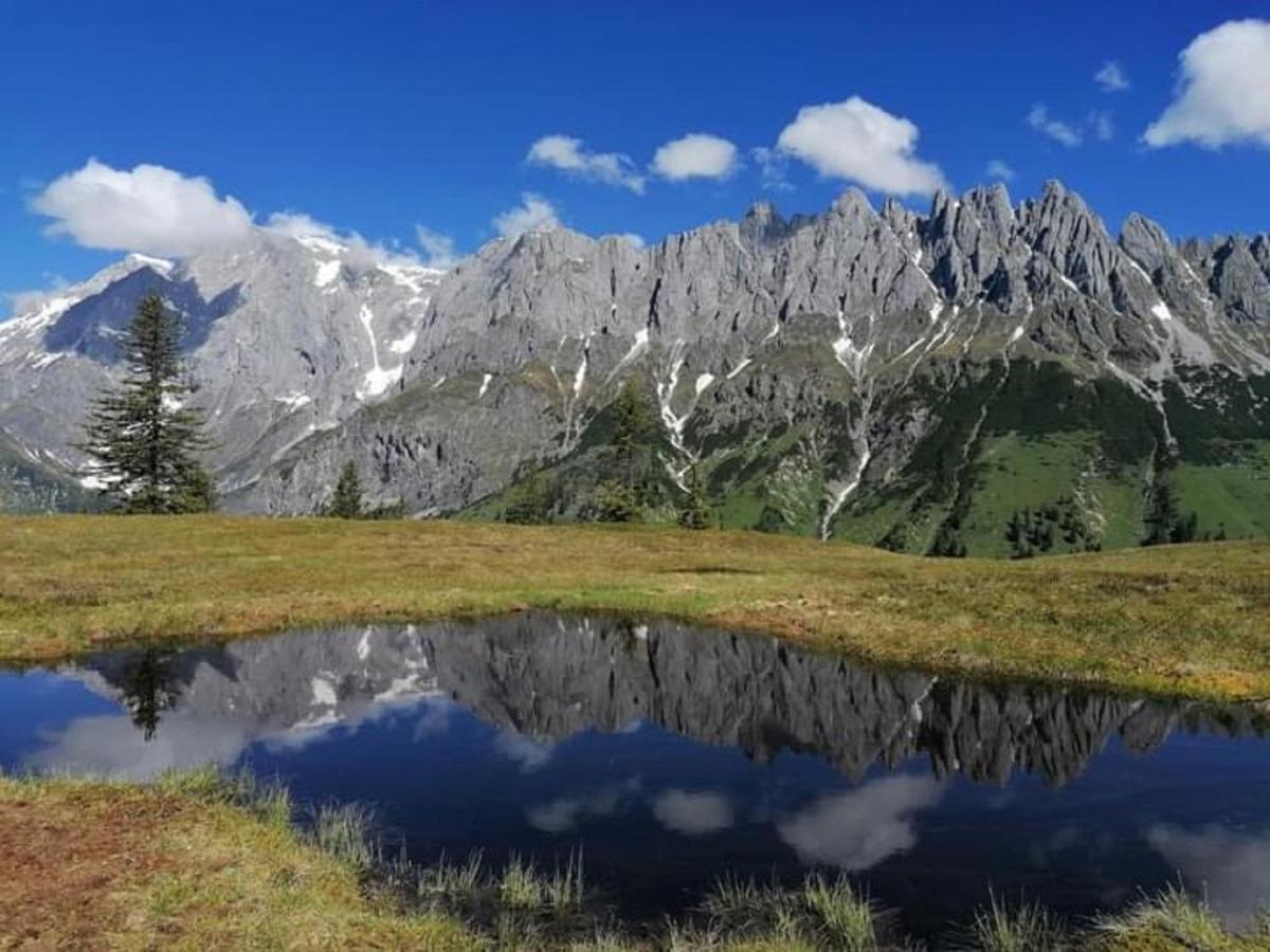 Gut Stein Panoramalodge Мюльбах Экстерьер фото
